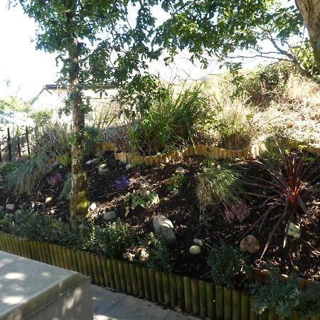 Parkland 14 Is A Detached Premier 3 Bedroom Bungalow Sleeping 6 Bude Esterno foto